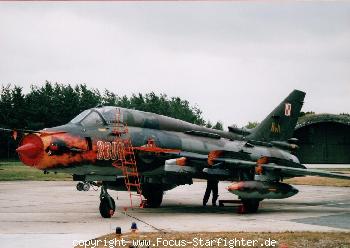z399 06.jpg